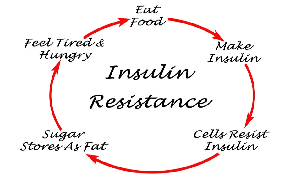 Obesity and Insulin Resistance