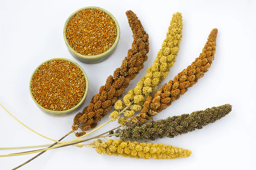 14 Benefits of Indian Millets in a Diabetic Diet